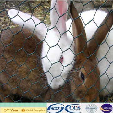 PVC Coated Hexagonal Rabbit Wire Mesh (XA-HM412)